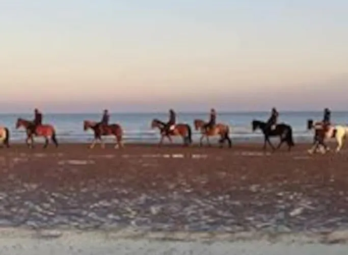 Appartement Bord De *